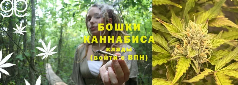 МАРИХУАНА LSD WEED  гидра ссылка  Нижнекамск 